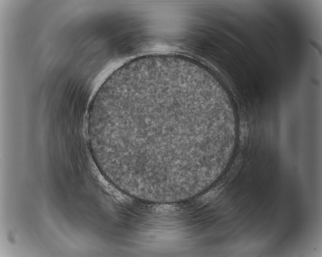 X0000103951421200810311538