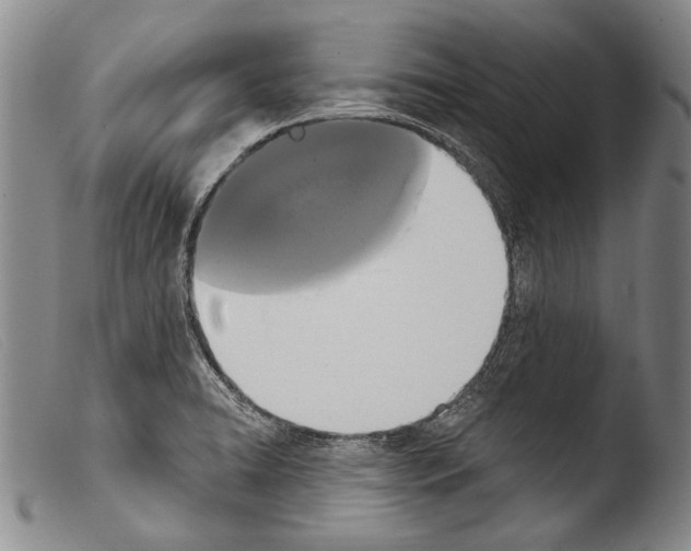 X0000103951422200810311538