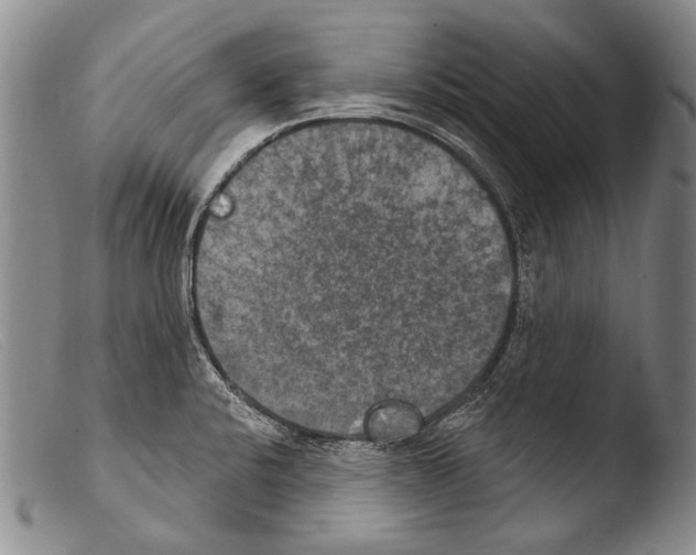 X0000103951424200810311538