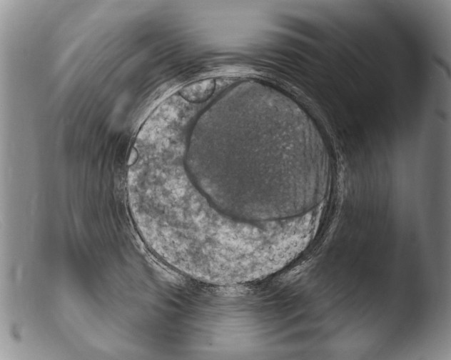X0000103951425200810311538