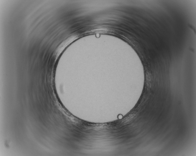X0000103951426200810311538