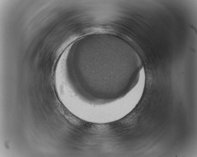 X0000103951427200810311538