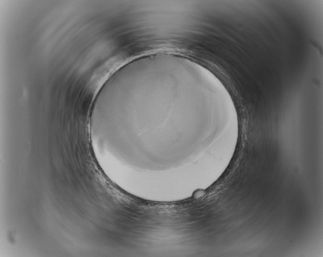 X0000103951428200810311538