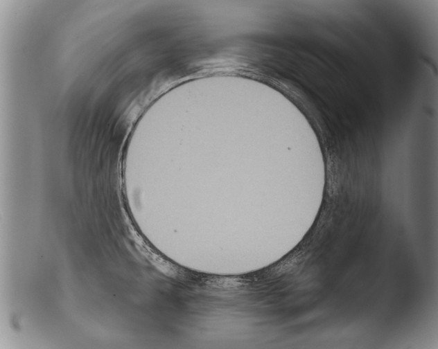 X0000103951431200810311538