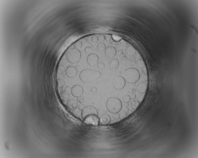 X0000103951432200810311538