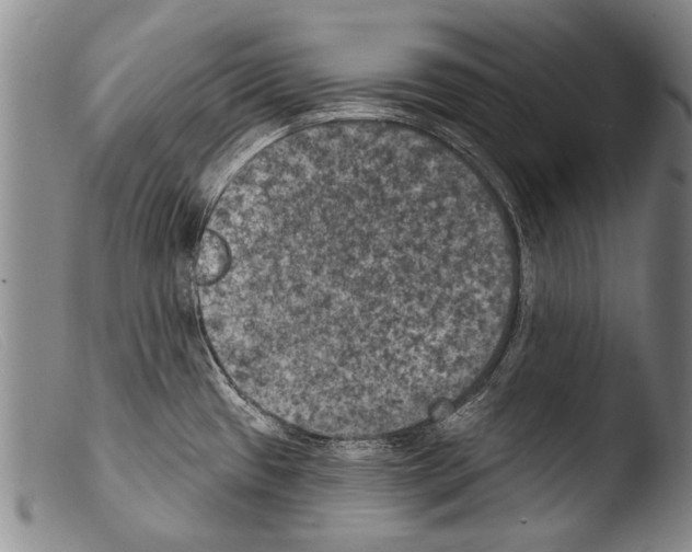X0000103951433200810311538