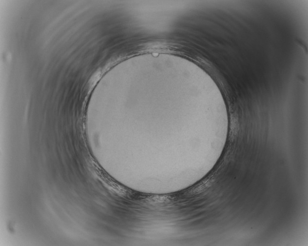 X0000103951435200810311539