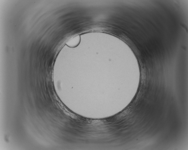 X0000103951436200810311539