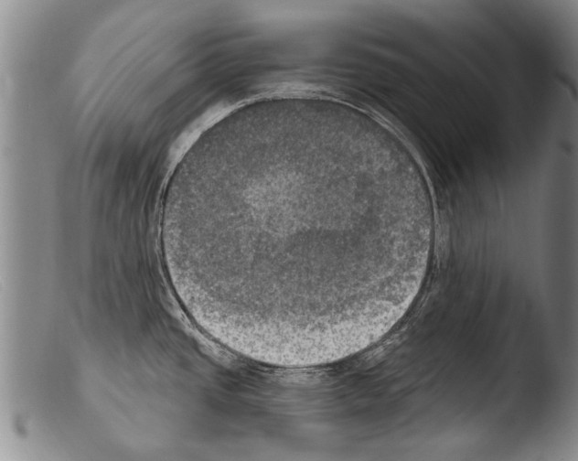 X0000103951437200810311539
