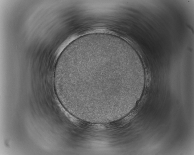 X0000103951438200810311539