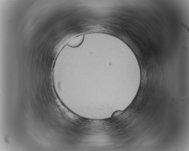 X0000103951439200810311539