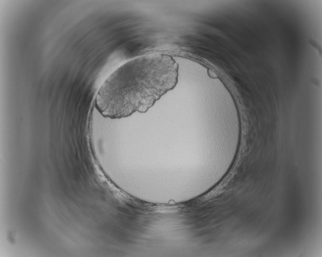 X0000103951440200810311539