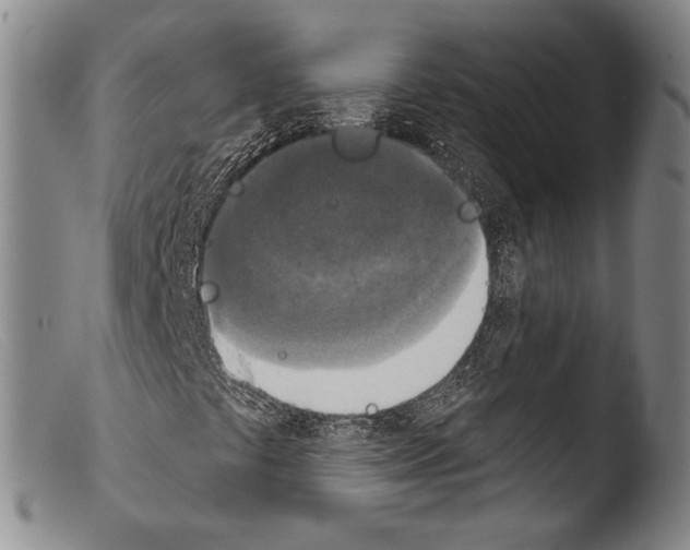 X0000103951441200810311538