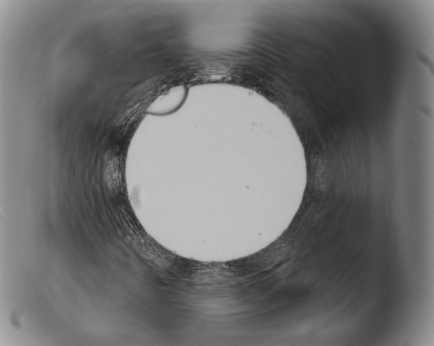X0000103951442200810311538