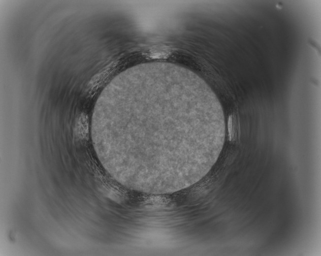 X0000103951443200810311538