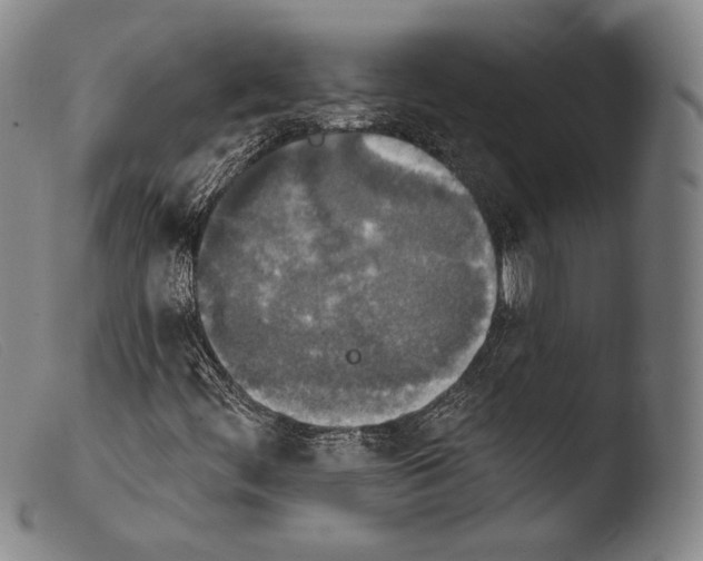 X0000103951444200810311538