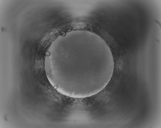 X0000103951445200810311538