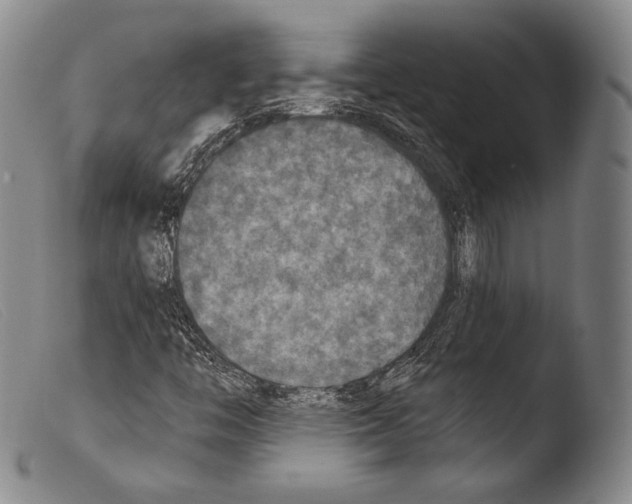 X0000103951446200810311538