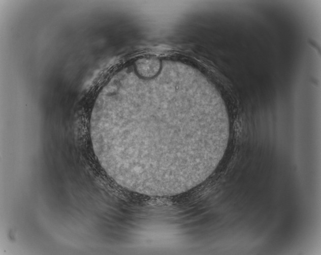 X0000103951447200810311538