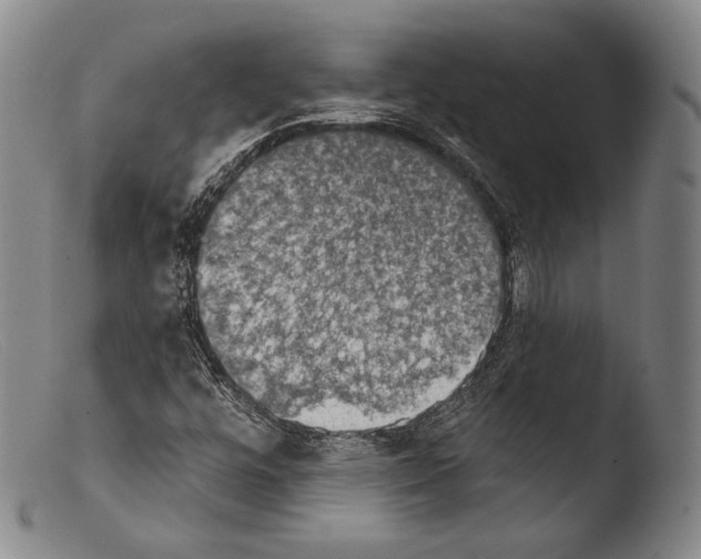 X0000103951448200810311537