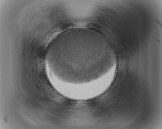 X0000103951449200810311537