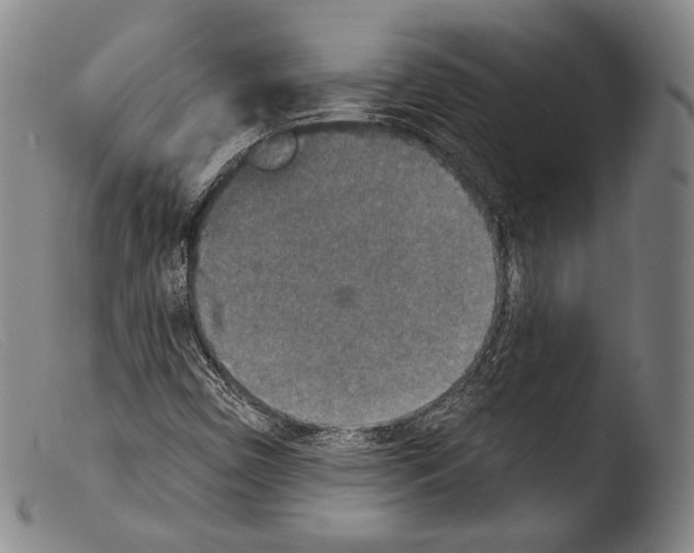 X0000103951450200810311537