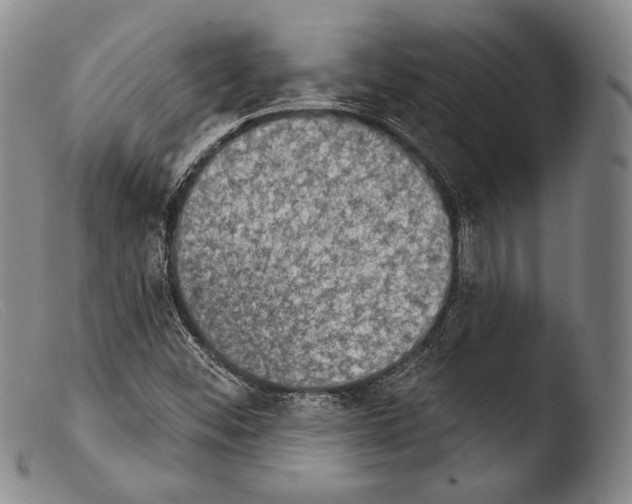 X0000103951452200810311537