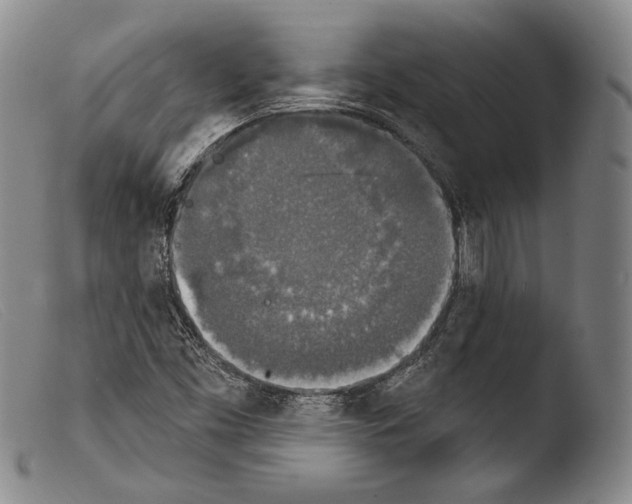 X0000103951453200810311537