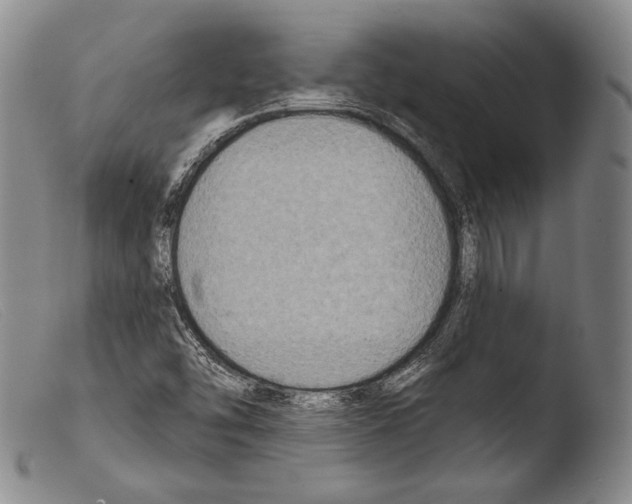 X0000103951454200810311537
