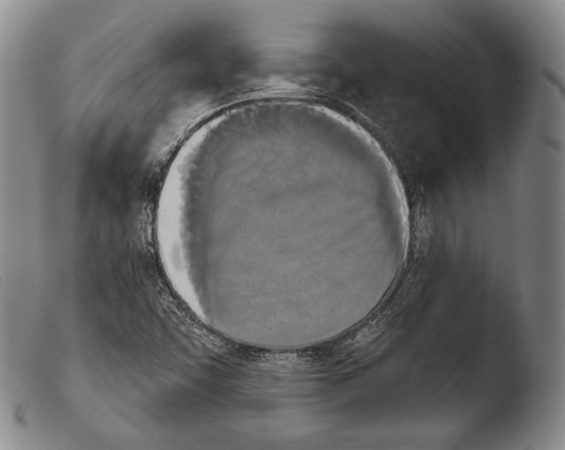 X0000103951455200810311537