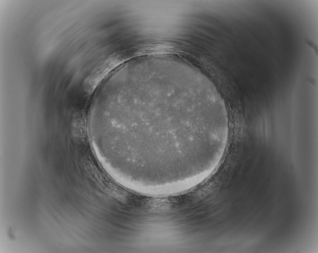 X0000103951457200810311537