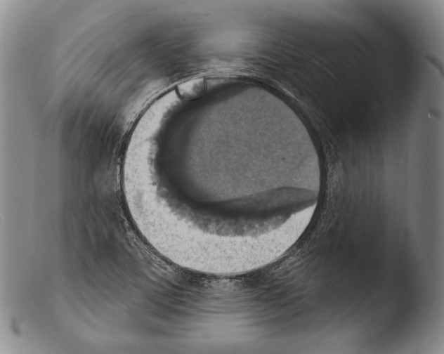 X0000103951459200810311537