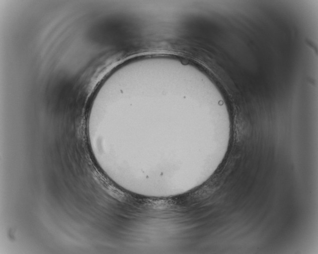 X0000103951460200810311537