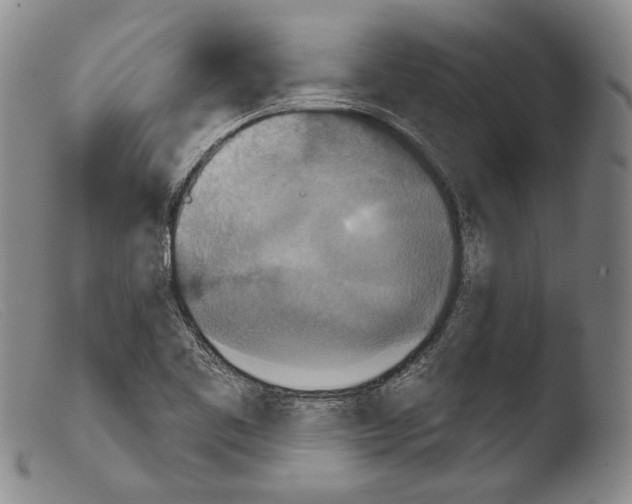 X0000103951461200810311537