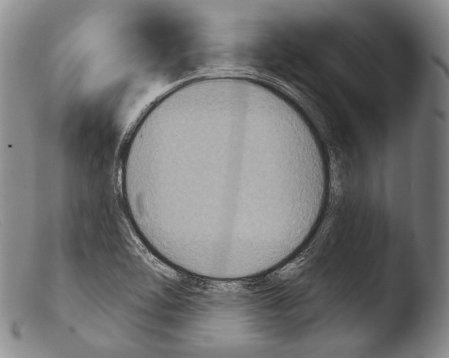 X0000103951462200810311537