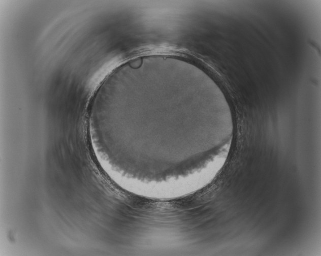 X0000103951463200810311537