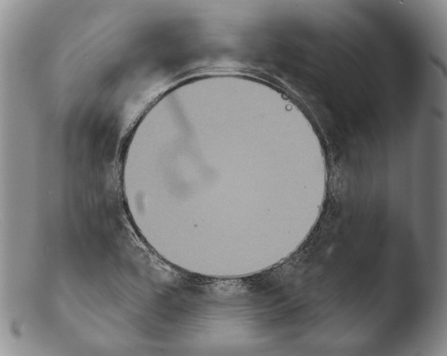 X0000103951464200810311537
