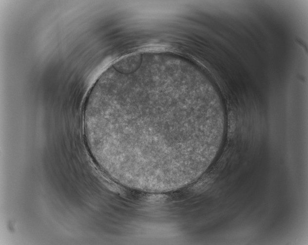 X0000103951467200810311537