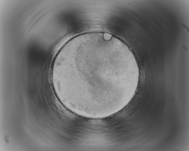 X0000103951468200810311537