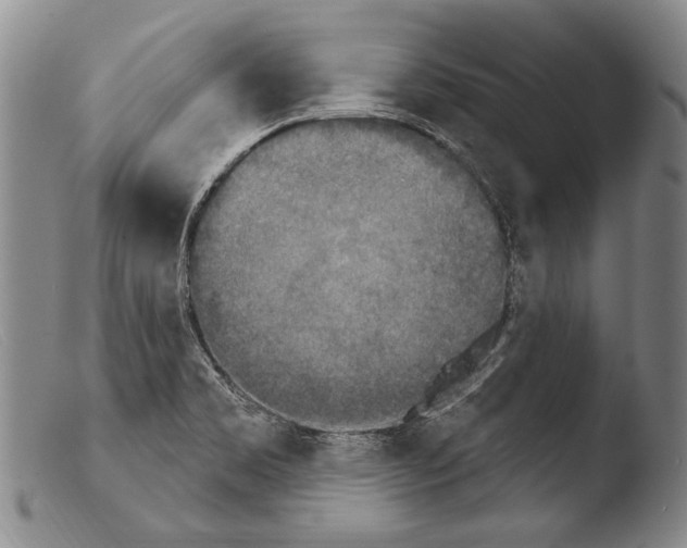 X0000103951469200810311537