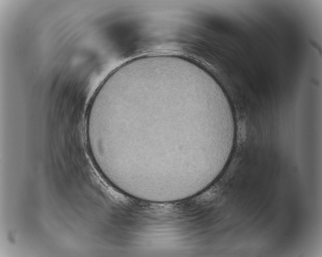 X0000103951470200810311537
