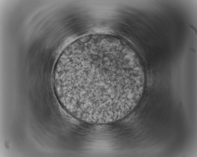 X0000103951471200810311537