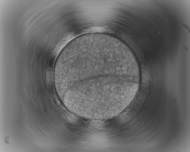 X0000103951473200810311537