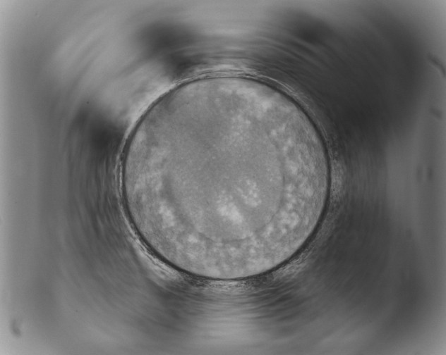 X0000103951474200810311537