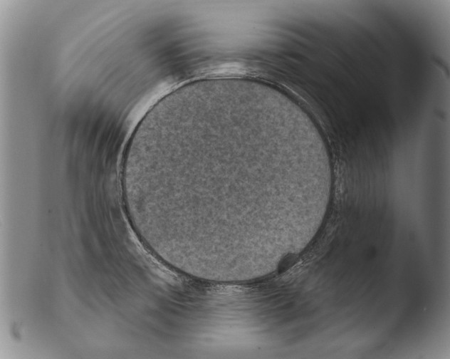 X0000103951475200810311537