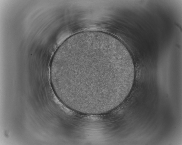 X0000103951476200810311537