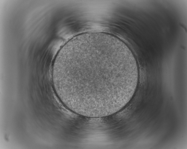 X0000103951477200810311537