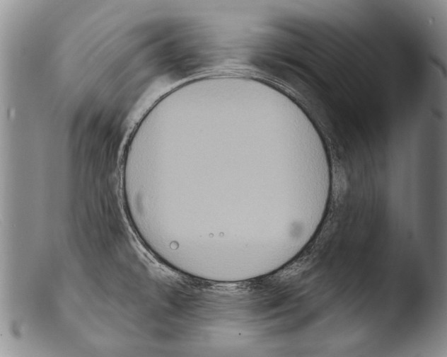 X0000103951478200810311537