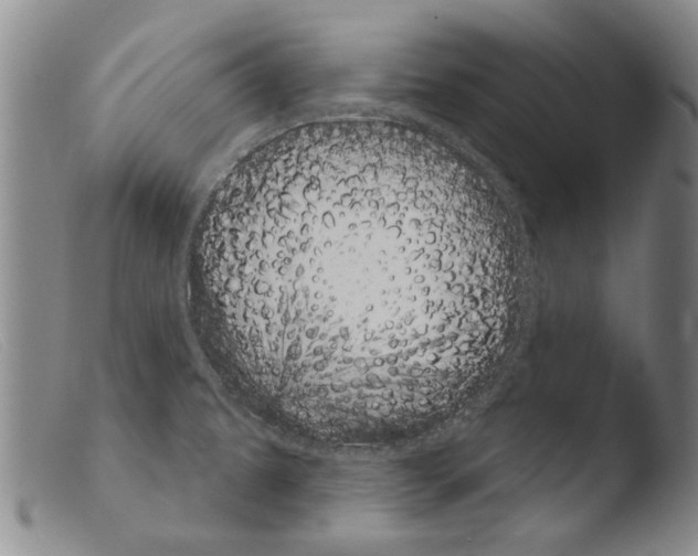X0000103951479200810311537