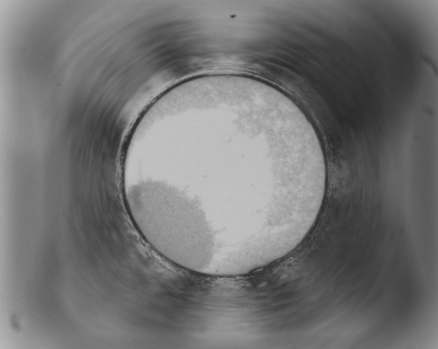 X0000103951480200810311537
